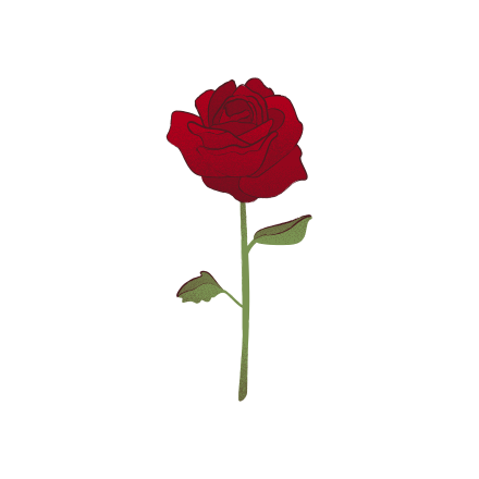 Rosa