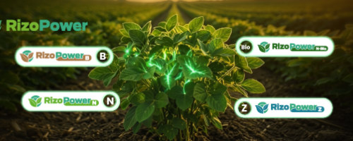 Rizopower: la nueva línea de foliares inteligentes de Rizobacter